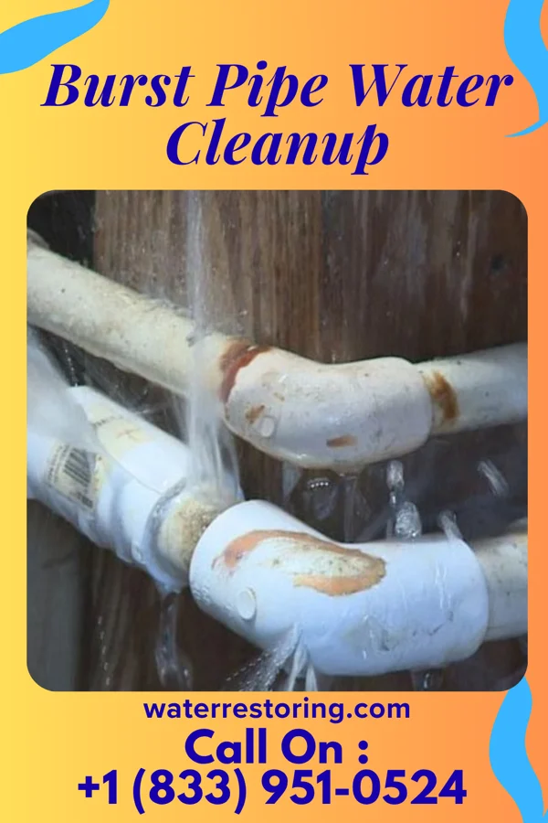 Burst Pipe Water Cleanup in Mount Carmel, PA