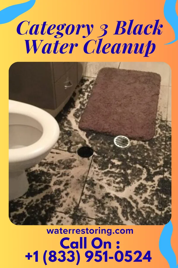 Category 3 Black Water Cleanup in Mount Carmel, PA