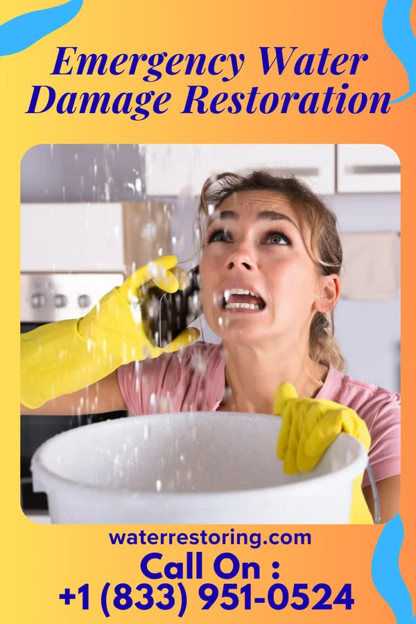 Emergency Water Damage Restoration in Mount Carmel, PA
