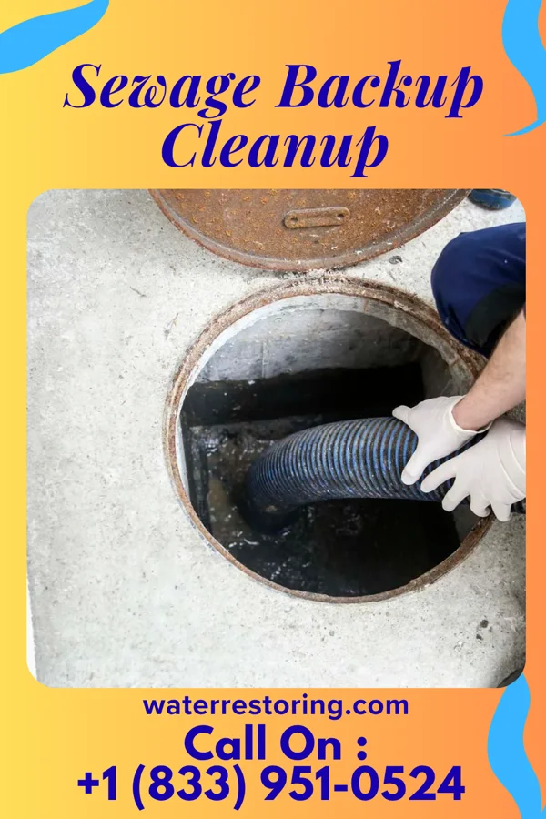 Sewage Backup Cleanup in Mount Carmel, PA